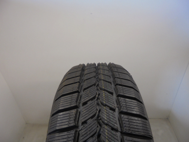 Michelin Agilis 51 Snow Ice guma