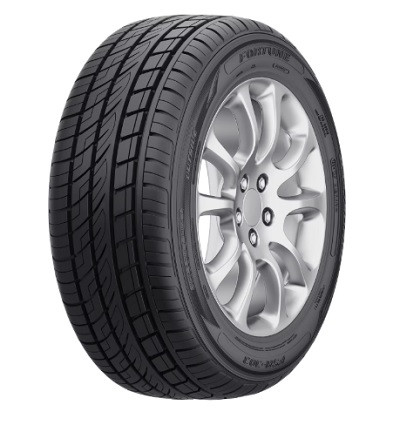 Fortune FSR303 guma