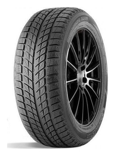 Doublestar DOUBLEST DW09 guma